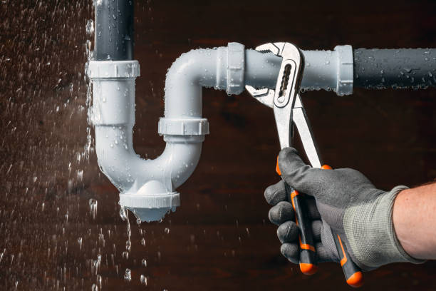 Professional Plumbing technician working in Rockville, MN